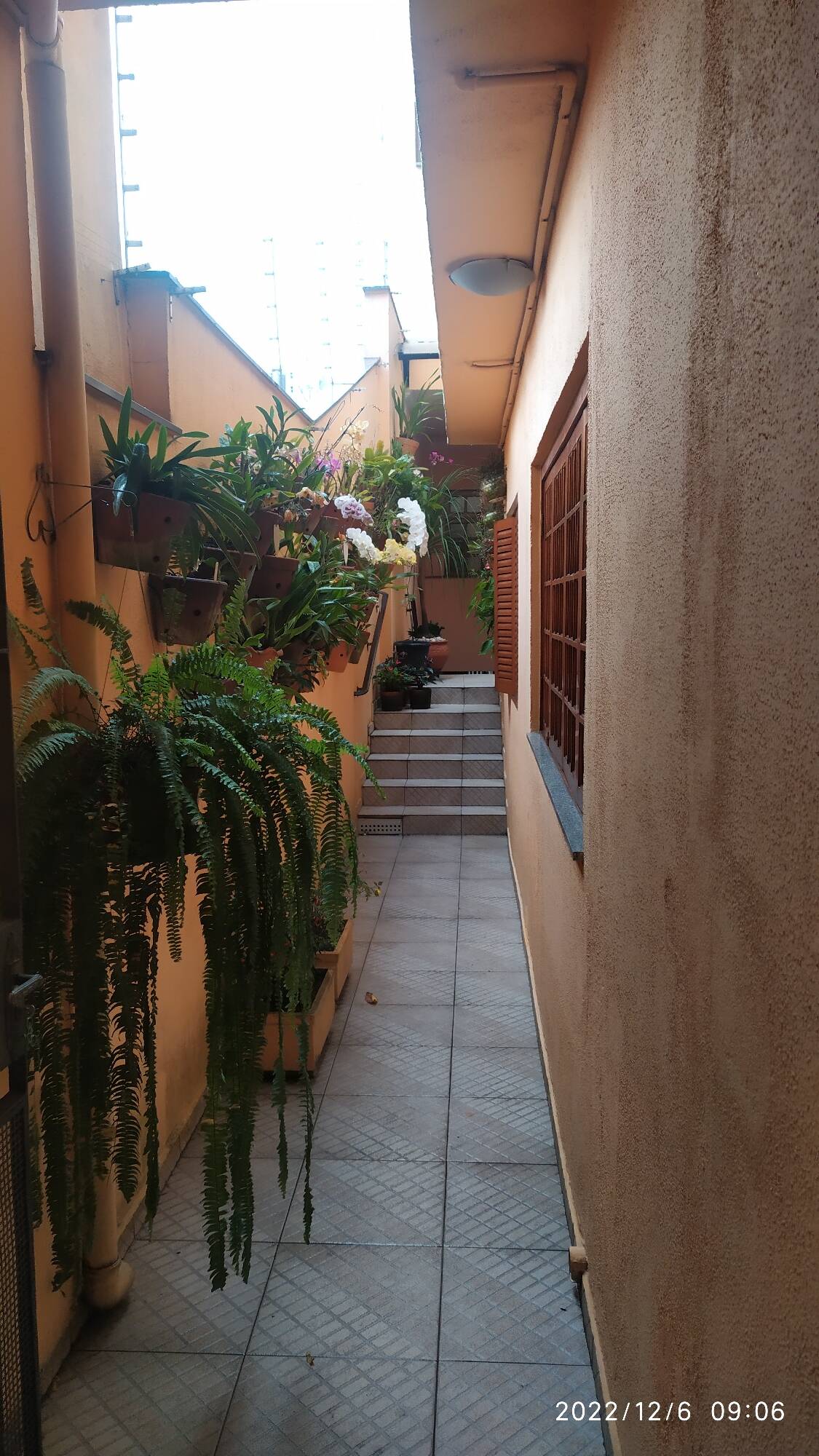 Casa à venda com 3 quartos, 380m² - Foto 47